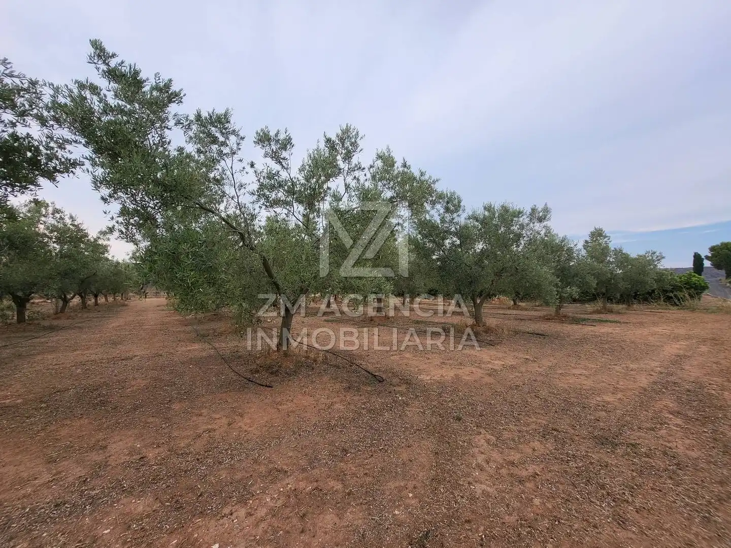 Terreno rústico en venta en Pueblo, imagen 5