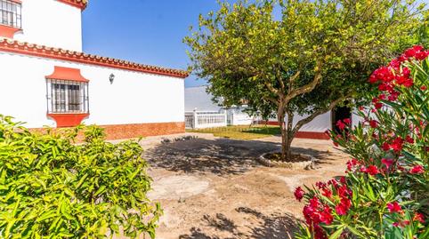 Foto 4 de Finca rústica en venda a Cam. del Ópalo, Las Lagunas - Campano, Cádiz