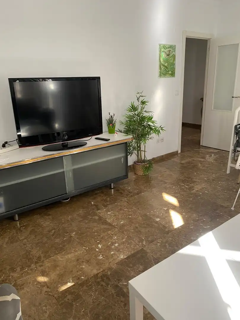 Sala de estar de Piso de alquiler en Sevilla con Aire acondicionado, Calefacción y Amueblado