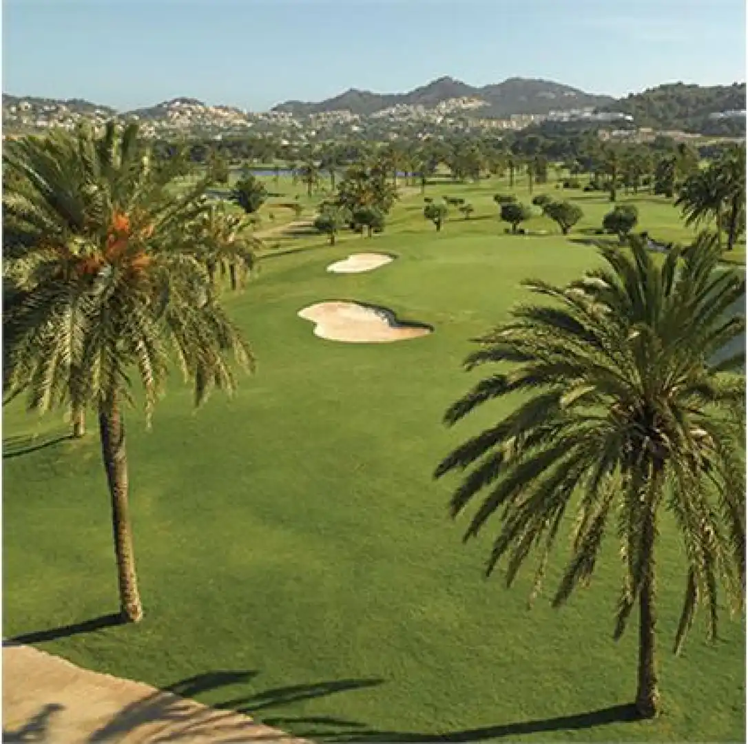 Rural land for sale in Los Belones - Urbanizacion La Manga Club, imagen 8