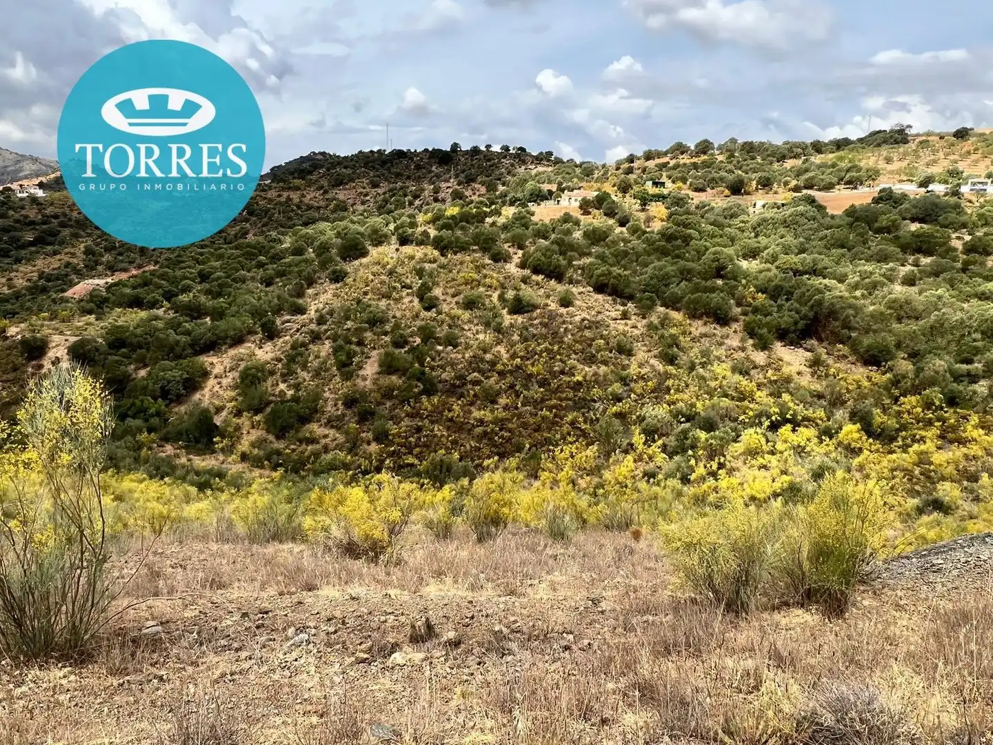 Terrenos y solares en venta en Polígono DISEMINADOS