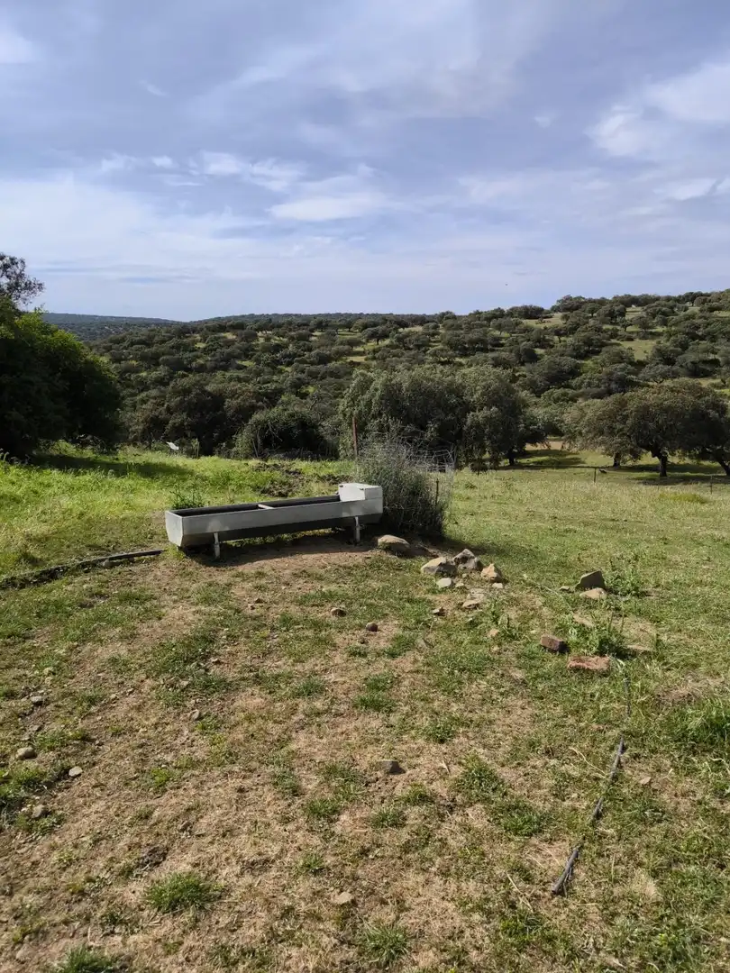 Rural land for sale in Fuente Obejuna, imagen 29