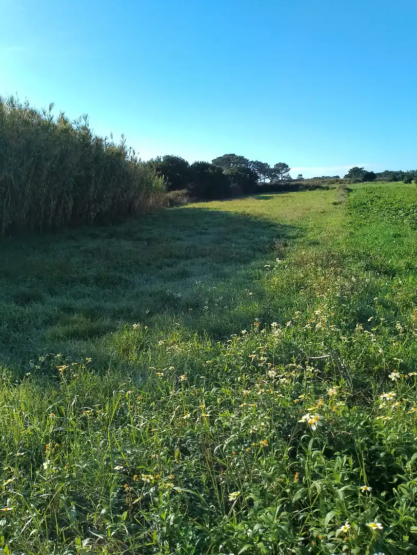 Land for sale in Ribeira