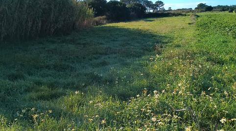 Photo 3 of Land for sale in Carreira, Ribeira