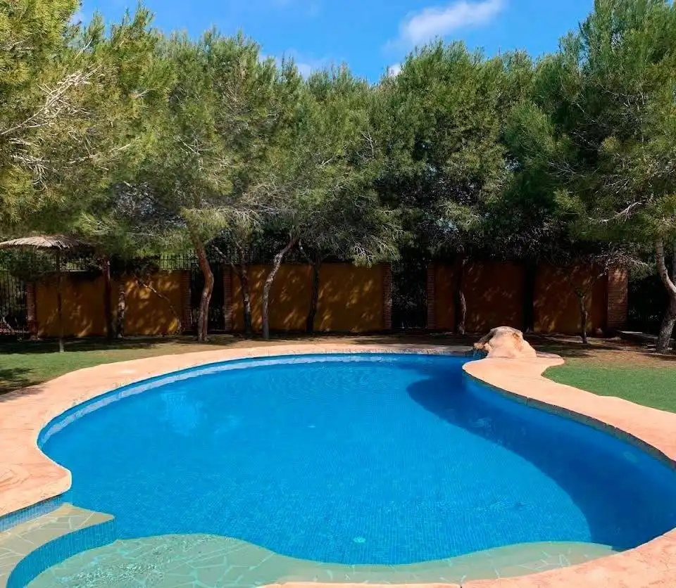 Piscina de Finca rústica en venta en Rojales con Aire acondicionado, Calefacción y Terraza