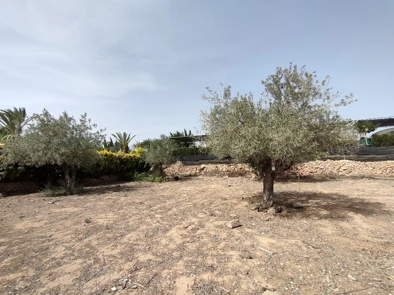 Casa o xalet en venda en Benidorm amb Moblat