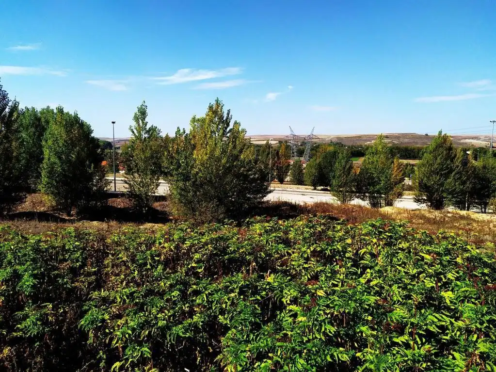 Land for sale in Buniel