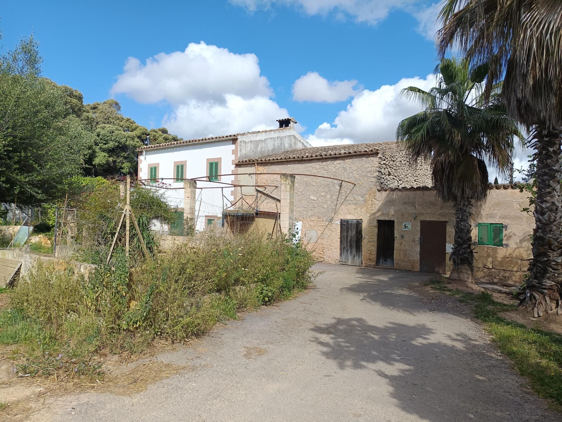 Vista exterior de Casa o xalet en venda en Llubí amb Jardí privat i Piscina