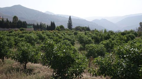 Finca Rúst. en venta en Polígonos.