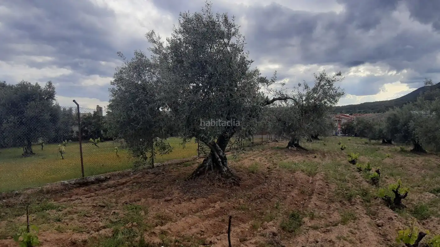 Wohnbaugrundstück zum Verkauf in Calle Pera Pere 6, imagen 3