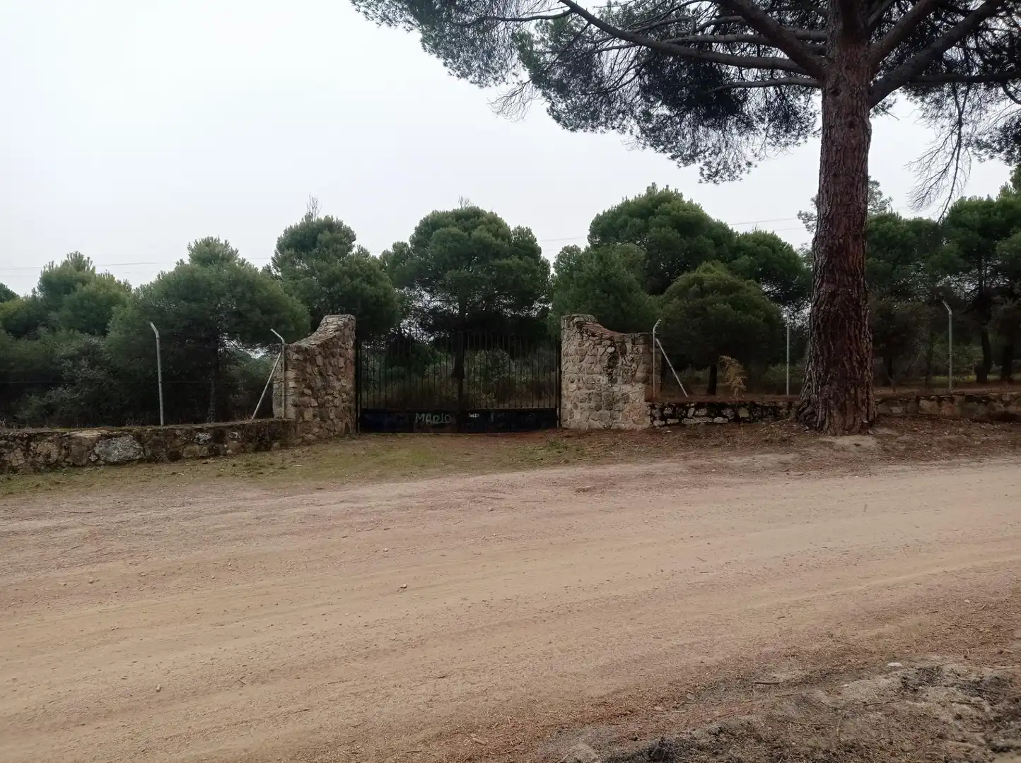 Terreny rústic en venda a San Martín de Valdeiglesias, imagen 3