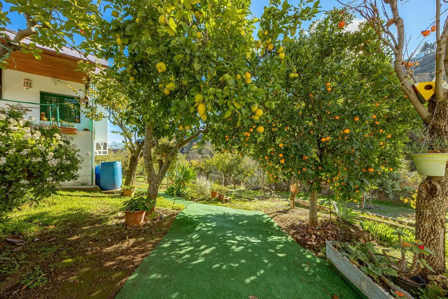 Jardí de Casa o xalet en venda en Vega de San Mateo amb Jardí privat i Terrassa