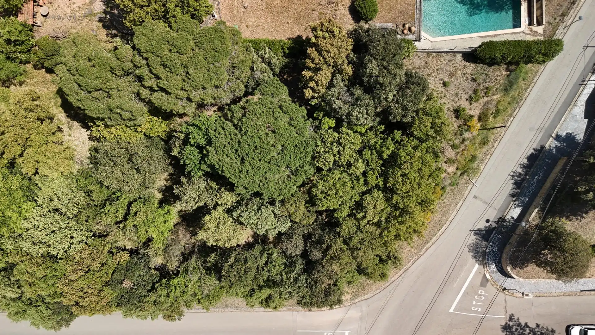 Lands and plots for sale in Carrer de Sant Bernat 7, imagen 17