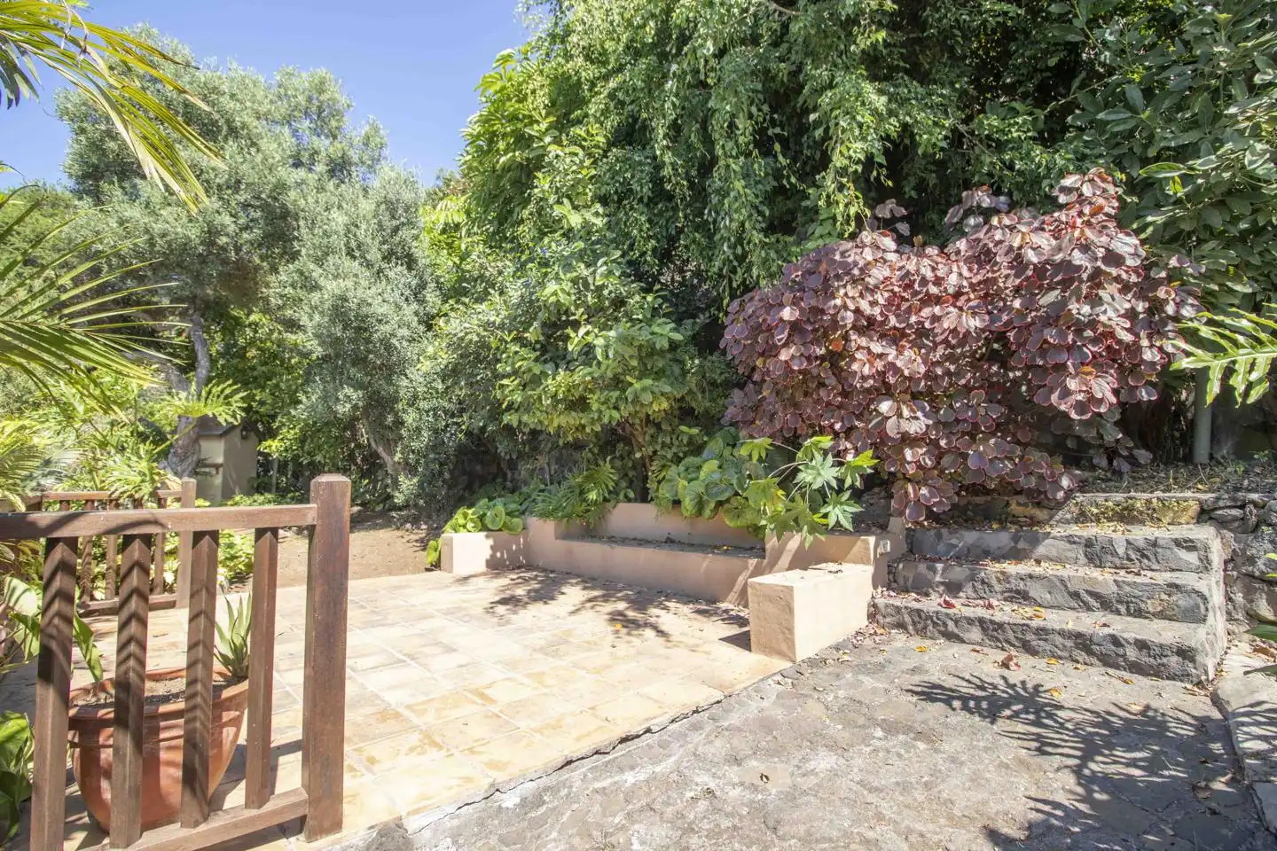 Jardí de Casa adosada en venda en Santa Úrsula amb Jardí privat, Terrassa i Piscina
