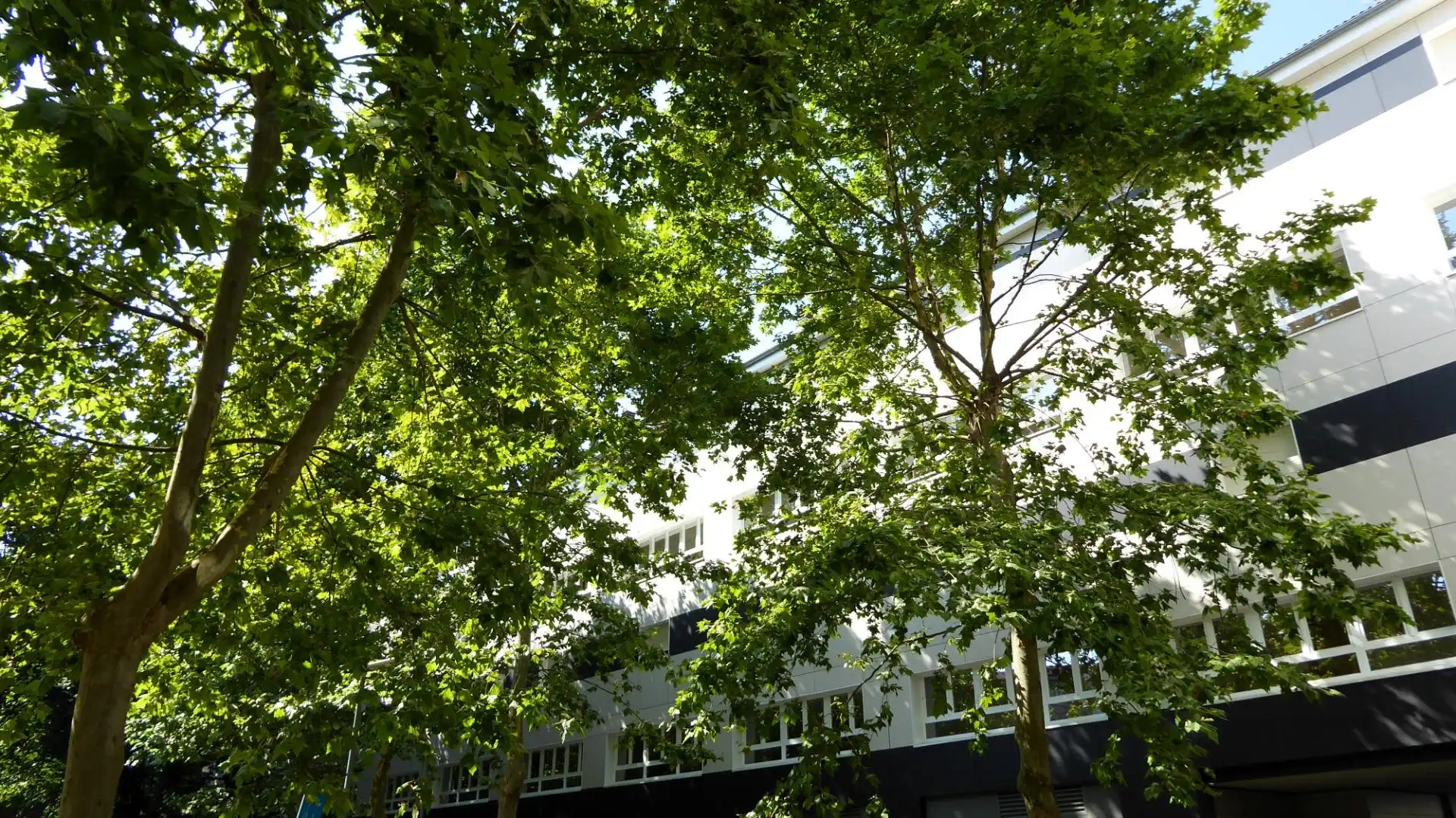 Vista exterior de Dúplex en venta en Berriozar con Calefacción, Parquet y Trastero