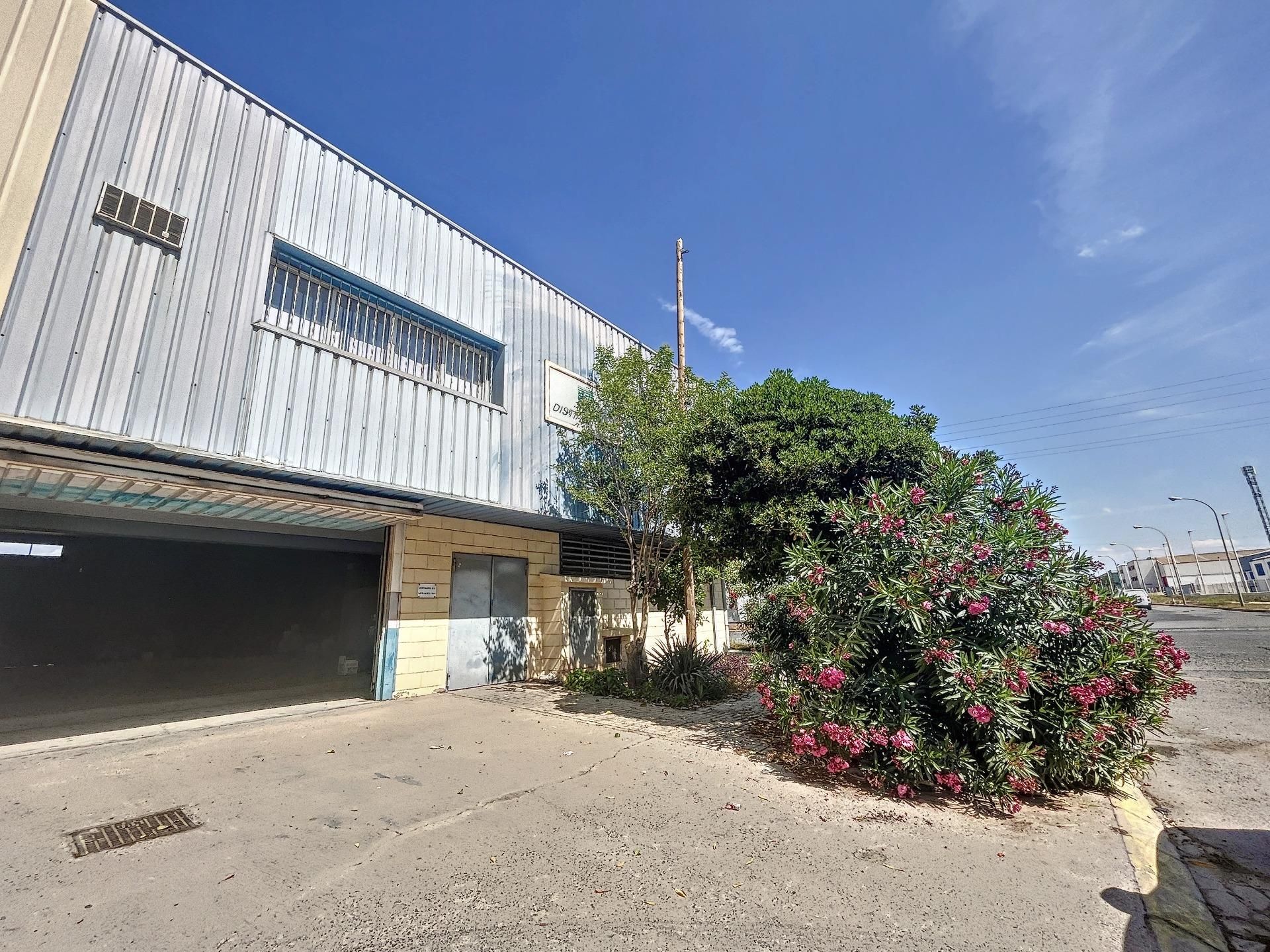 Exterior view of Industrial buildings for sale in Sagunto / Sagunt