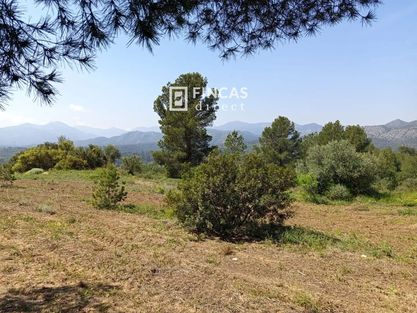 Terrain rustique à vendre à WFXW+MPJ, imagen 9