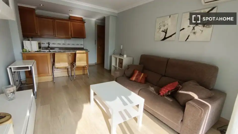 Sala d'estar de Apartament per a compartir en Alicante / Alacant amb Aire condicionat, Terrassa i Moblat