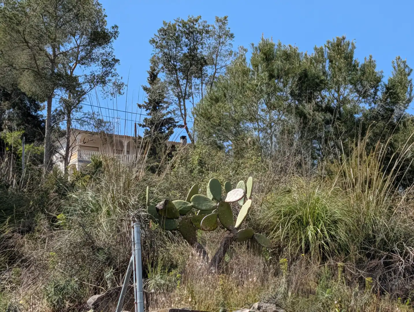 Terreny residencial en venda a Carrer del Senglar, imagen 20