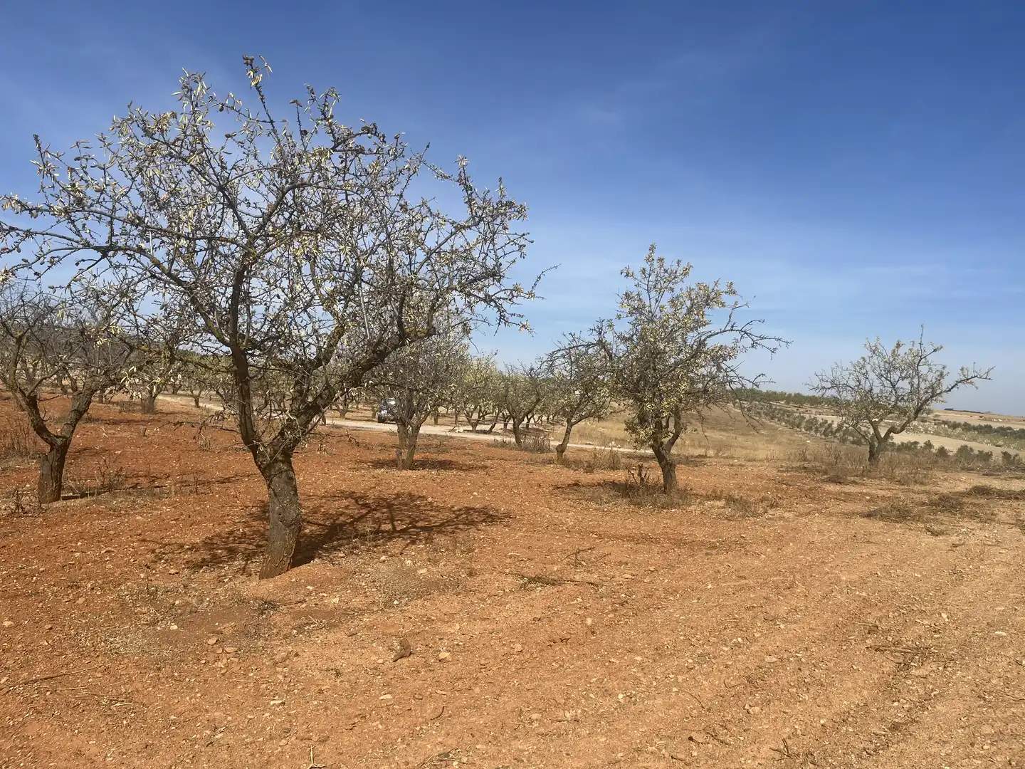 Rustikales Grundstück zum Verkauf in Avenida de Andalucía, imagen 3