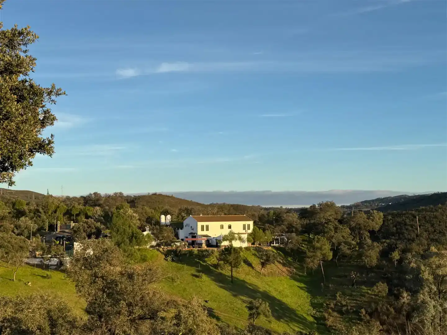 Vista exterior de Finca rústica en venta en El Madroño con Aire acondicionado, Jardín privado y Parquet