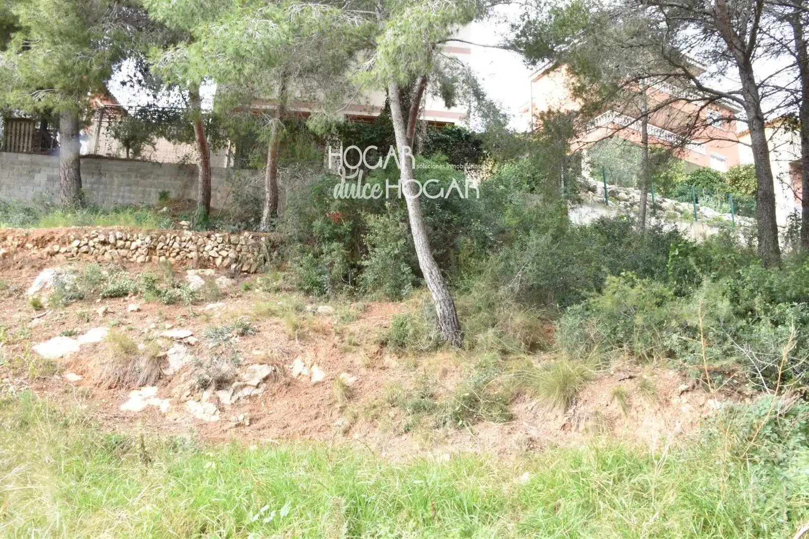 Rural land for sale in GLADIOL, imagen 11