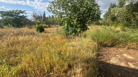 Foto 4 von Grundstücke zum Verkauf in Urbanizacion Huerta del Pilar, Vista Azul - Consolación, Dos Hermanas