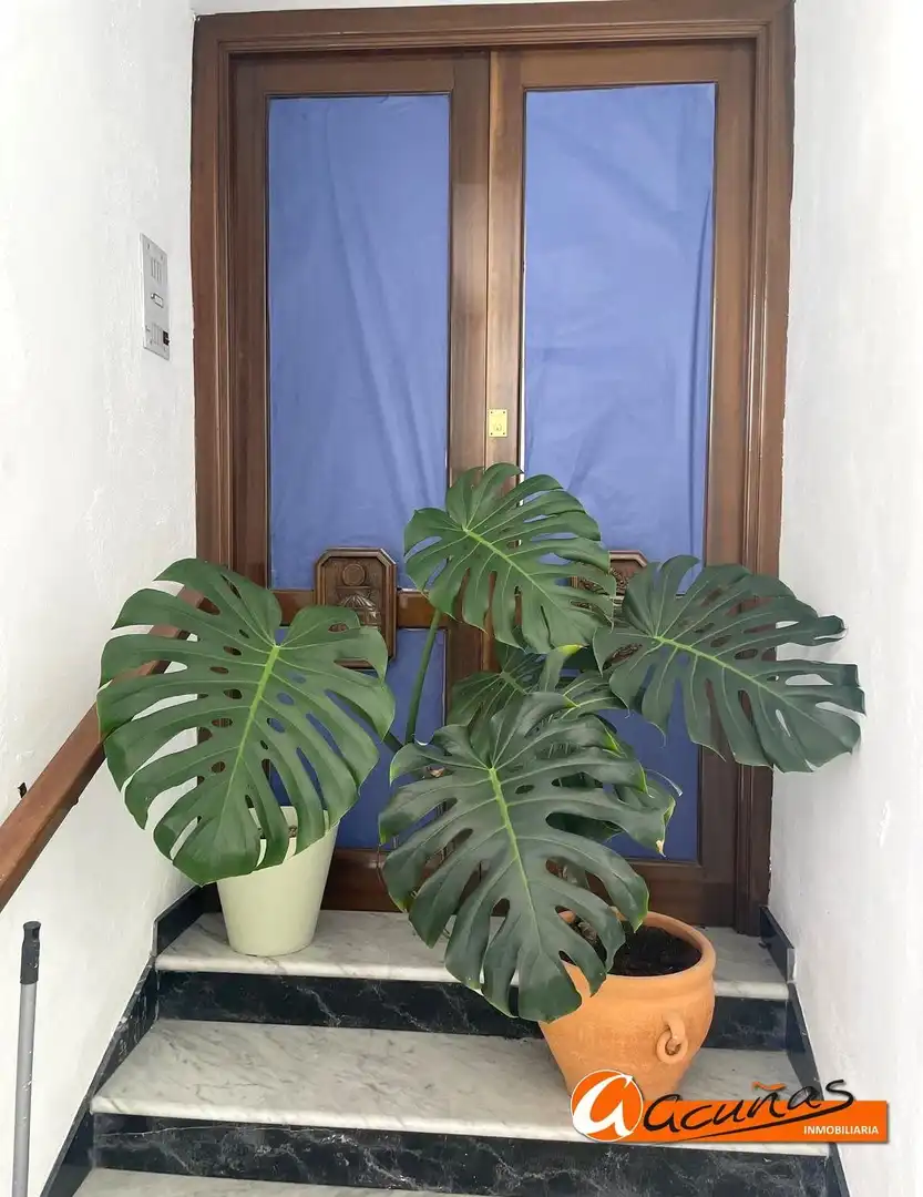 Local en venta en Montejaque con Aire acondicionado