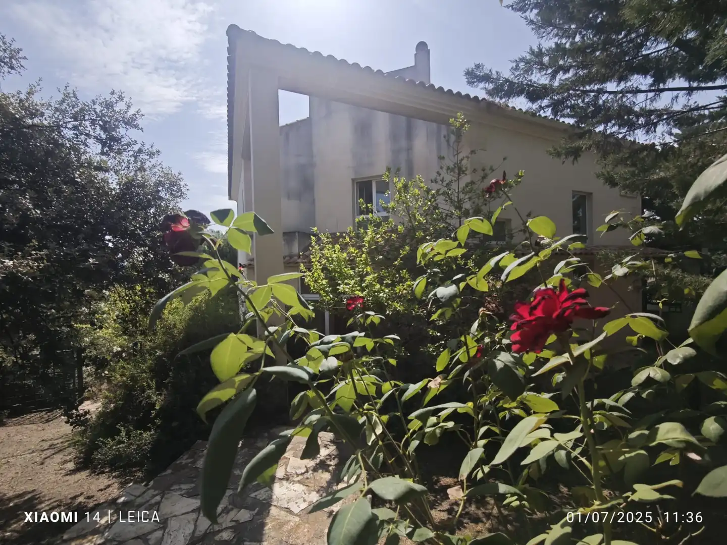 Haus oder Chalet zum Verkauf in Calle Don Felipe de África, Pino Alto - Navarredonda