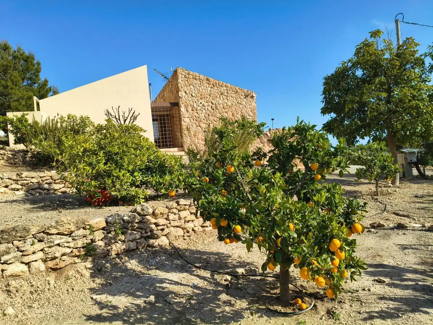 Landhaus mit Pool zum Verkauf in Bolnuevo, imagen 3