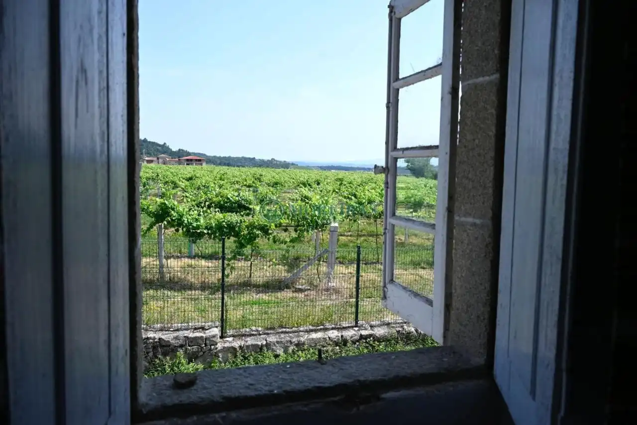 Jardín de Finca rústica en venta en Pantón con Calefacción y Jardín privado