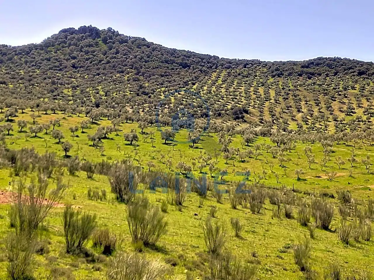 Terreny residencial en venda a Belmez