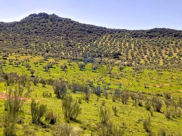 Terreno residencial en venta en Belmez