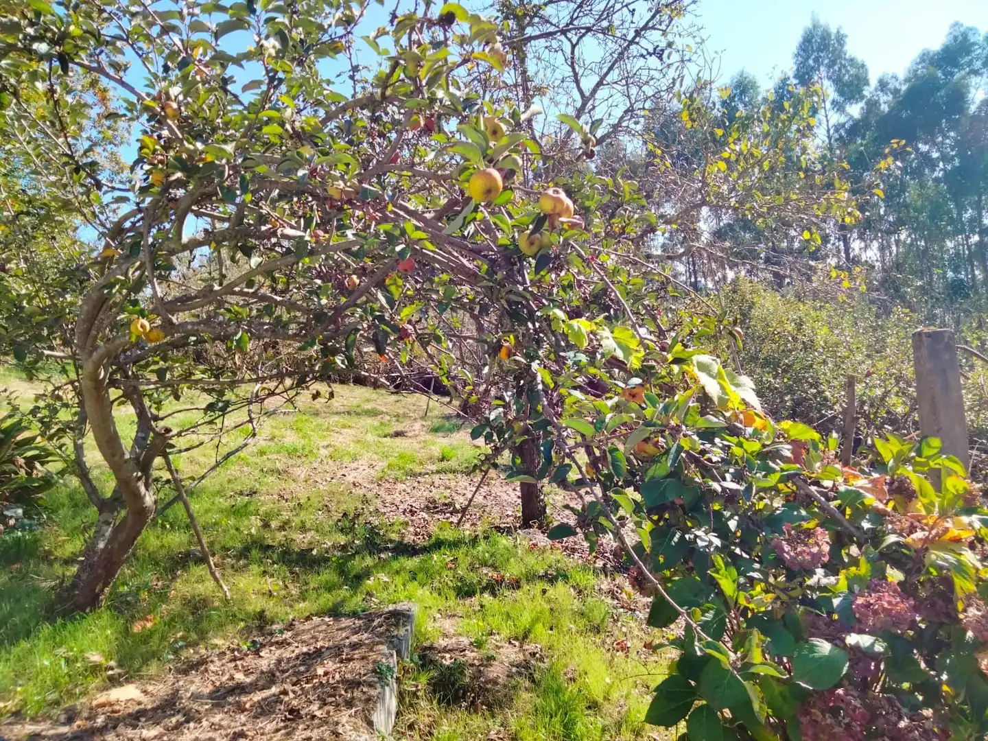 Casa o chalet en venta en Arrankudiaga / Zollo con Calefacción, Jardín privado y Trastero