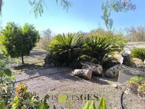 Finca rústica en venta en El Milà