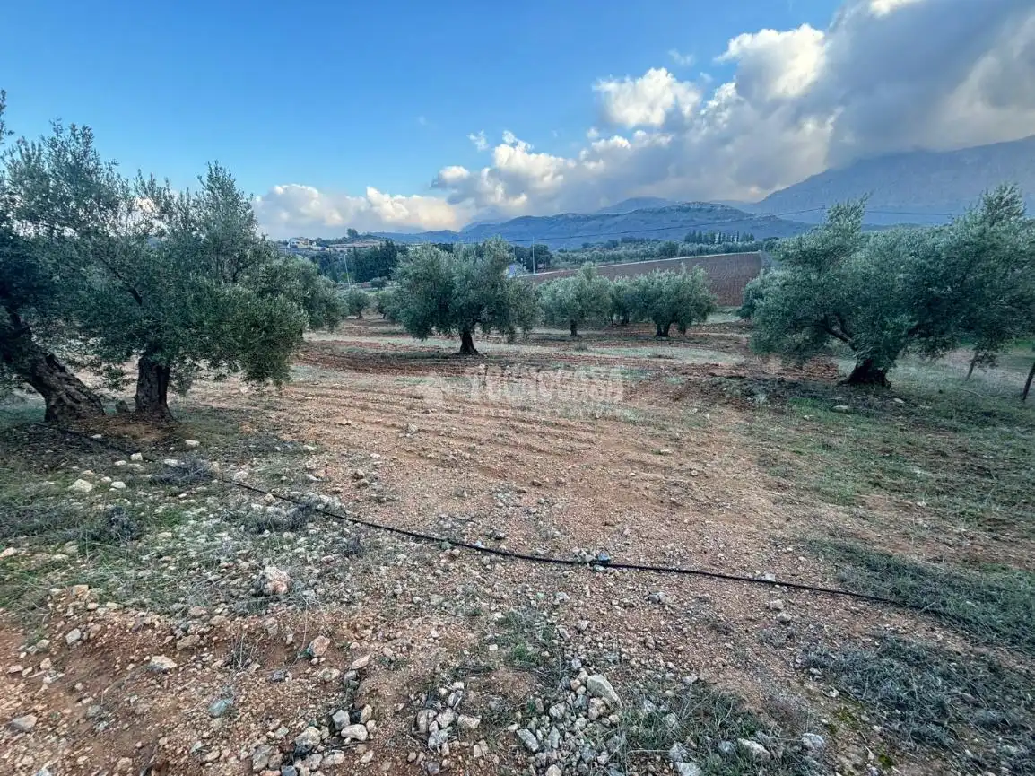 Terreni e lotti in vendita a Centro, imagen 18