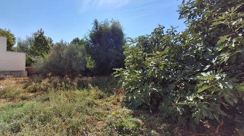 Foto 2 de Residencial en venta en de Santiago, 16, Tudela de Duero, Valladolid