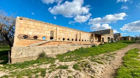 Photo 5 of Country house for sale in Petra, Illes Balears