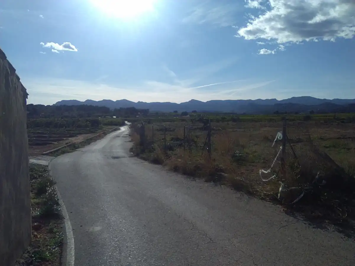 Terreno rústico en venta en Alfara de la Baronia
