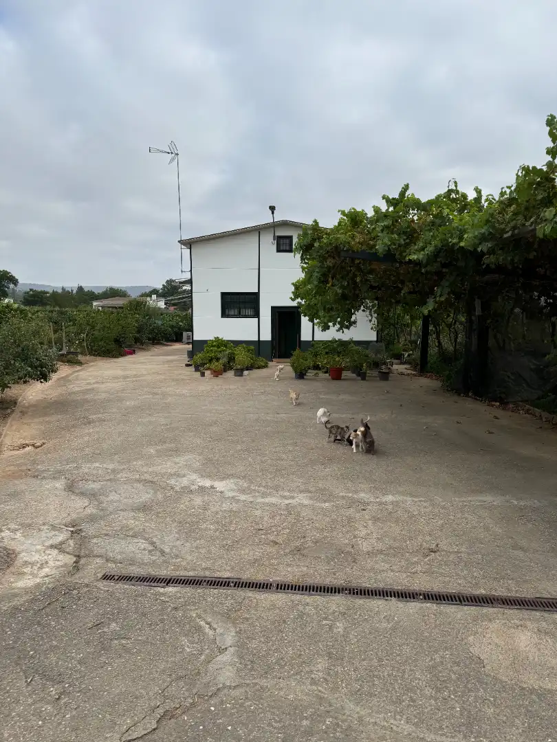 Casa rústica amb jardí en venda a Cantillana, imagen 2