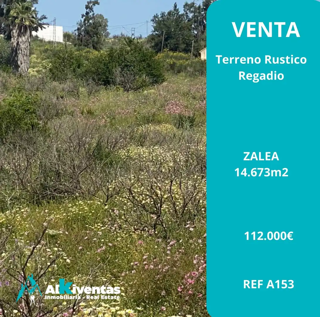 Terreny rústic en venda a Pizarra