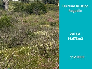 Terreny rústic en venda a Pizarra