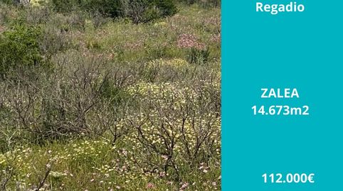 Ref A153 Terreno rustico de regadío en Zalea