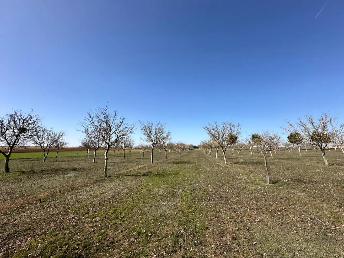 Houses for sale in Arlanzón  with Private garden