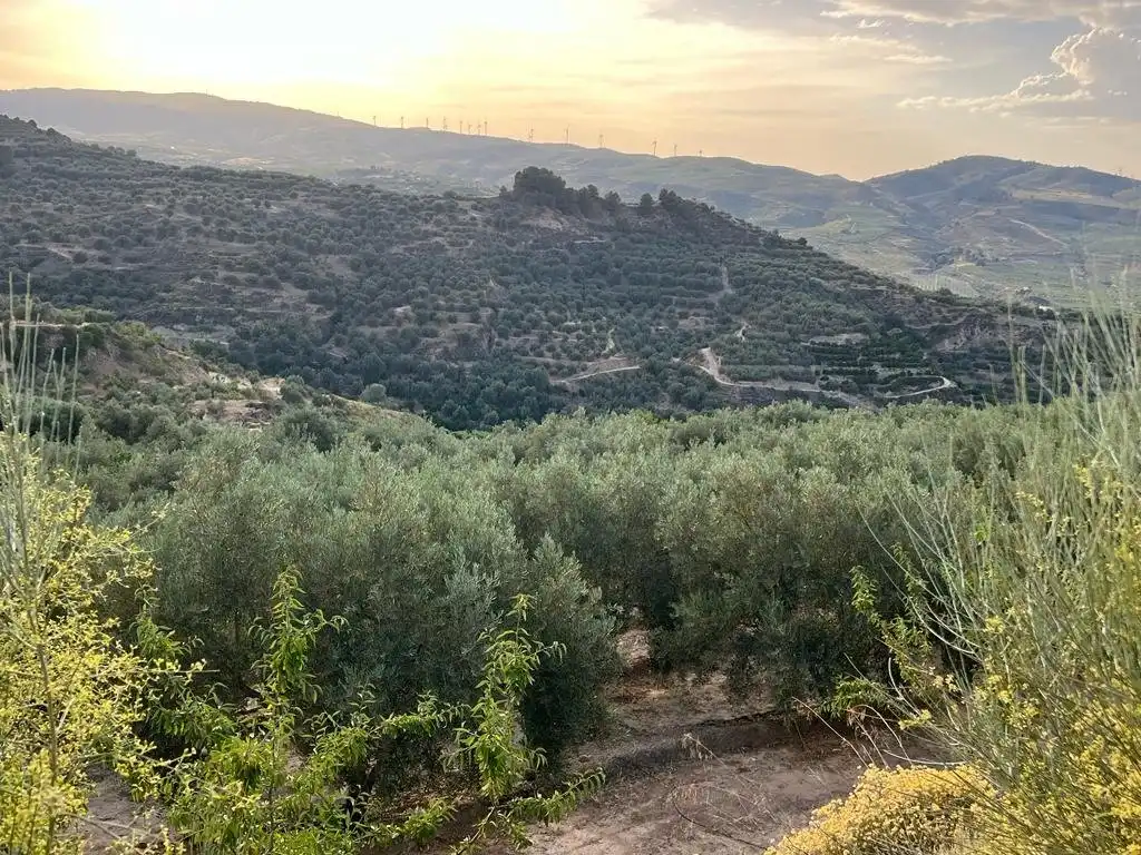Casa rustica in vendita a El Valle, imagen 4