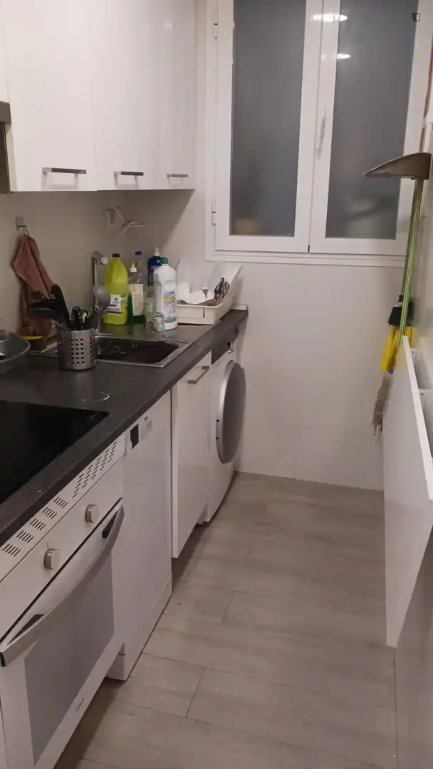 Cuina de Apartament de lloguer en Madrid amb Moblat, Forn i Rentadora