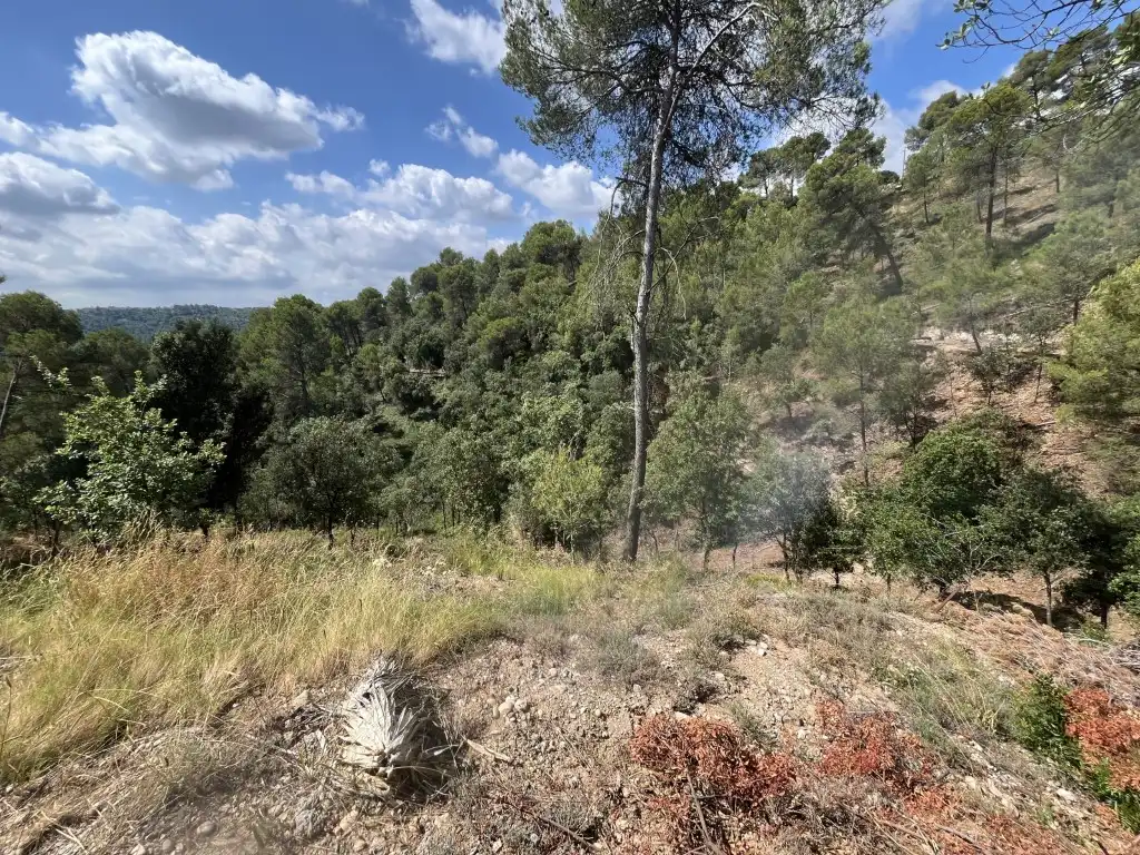 Residential land for sale in Viladecavalls, imagen 3