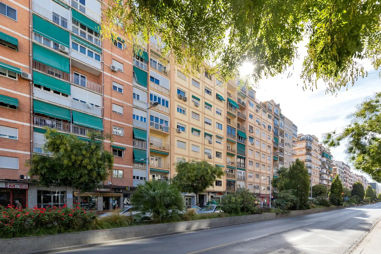 Vista exterior de Piso en venta en Granada