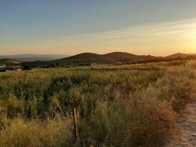 Terreno en Venta en Callejón la Cava, 1 en Guadalcanal