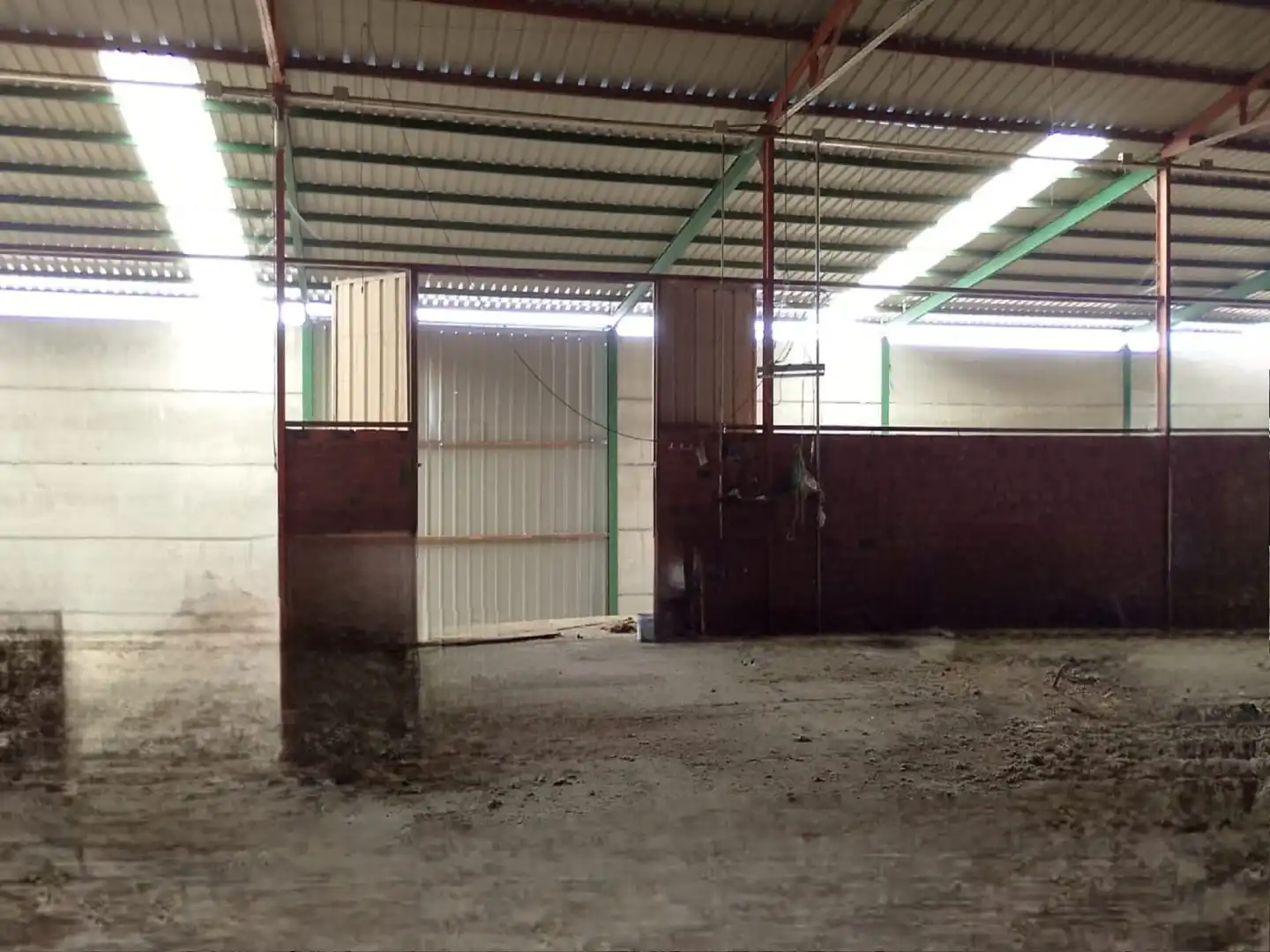 Fabrikhallen zum Verkauf in Sancti-Spíritus (Badajoz)
